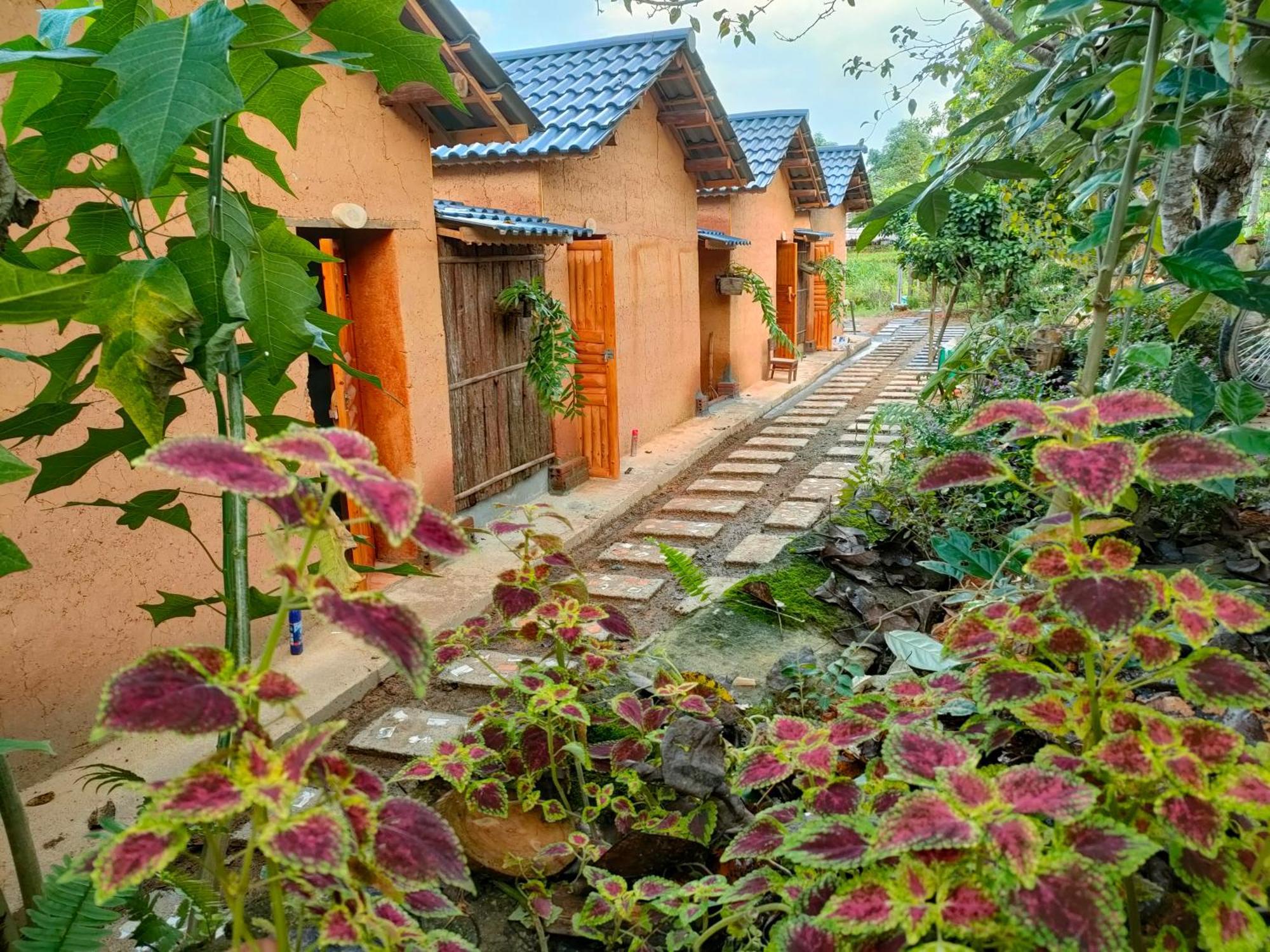 Ly Danh Homestay Quan Ba 객실 사진